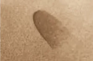 Burns 300x196 1 | Dehaan Tile & Floor Covering